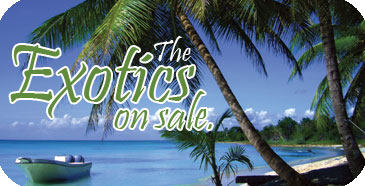 $200 Off Sale