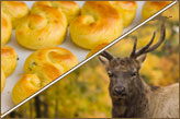 Saffron buns and Reindeer